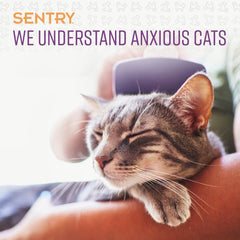 Serving SENTRY Calming Chews for Cats to help ease new environment jitters.