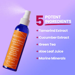 SeoulCeuticals organic aloe cucumber essence closeup highlights soothing, nutrient-rich ingredients.