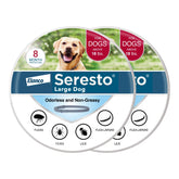 Seresto large dog collar worn by a calm hound, offering long-lasting flea and tick protection