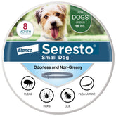 Seresto small-dog collar on neck delivering long-lasting flea and tick protection.