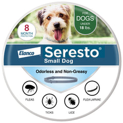 Seresto small-dog collar on neck delivering long-lasting flea and tick protection.