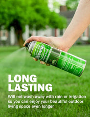Seymour Renew brown-spot coverage on lawns and shrubs