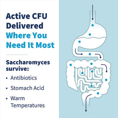 SFI Health Klaire Labs packaging scene shows easy daily probiotic use.