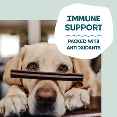 Shameless Pets Blueberry Mint dental stick (blueberry-mint-dental-stick-04) grain-free treat