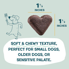Shameless Pets dog enjoying soft-baked biscuit during a walk.