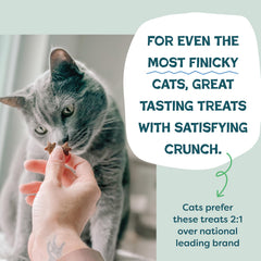 Shameless Pets upcycled sweet potatoes showcase sustainable, nutritious crunch.