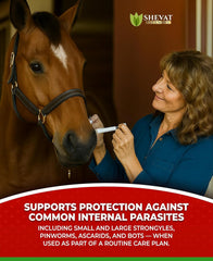 SHEVAT VITAMINS ivermectin horse paste shown in a pre-filled syringe for simple dosing.