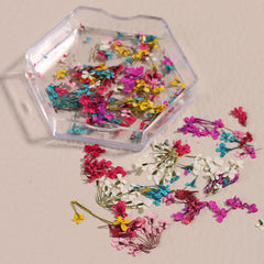 SILPECWEE dried flowers close-up highlight natural detail ideal for elegant nail art.