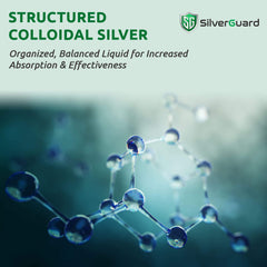 SilverGuard nebulizer-diffuser solution for home vapor therapy