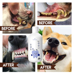 PawBright Dental Plus bottle label highlights odorless, flavorless formula