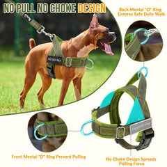 SlowTon harness chest D-ring supports training and steering during hikes