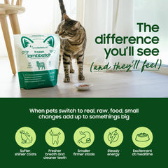 Smallbatch Pets hydrate and serve image illustrating how to rehydrate patties for serving