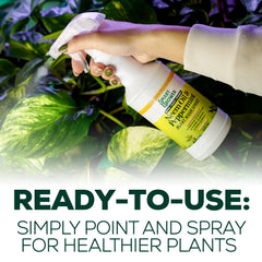 Fine mist from Smart Grower neem oil spray evenly coats indoor plants