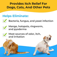 Smiling Paws Antibacterial Wipes cat face closeup, gentle cleansing for irritated skin.