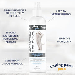 Chlorhexidine spray mist covering dog and cat skin for balanced care.