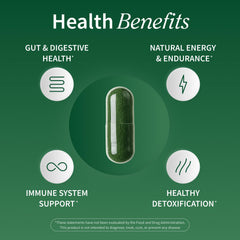 Snap Supplements alfalfa wheatgrass display shows natural energy and immune support visuals