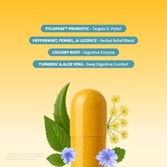 Snap Supplements lipase probiotic pylopass capsules ready for daily digestive care