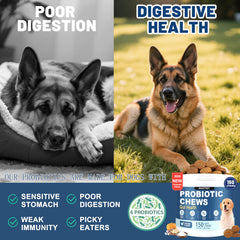 SnazFirst Probiotics for Dogs label close-up showing natural ingredients and chicken flavor