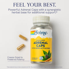 SOLARAY Adrenal Caps capsules close-up illustrating compact, easy-to-swallow soft capsules.