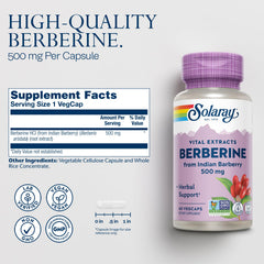 SOLARAY Berberine 500mg capsules close-up showing capsules and vegan coating.
