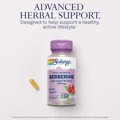 SOLARAY Berberine 500mg ingredient panel lists Berberine HCl and Oregon Grape.