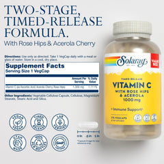 Two-stage release diagram illustrating extended Vitamin C availability from SOLARAY capsules.