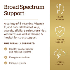 Solgar B-Complex with Vitamin C Stress Formula packaging front highlighting vegetarian formula.