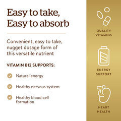Solgar B12 100-count bottle emphasizes long-term daily use and convenience
