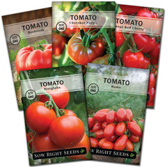 Sow Right Seeds Cherokee Purple tomato image, rich, smoky fruit ideal for sandwiches and salads.
