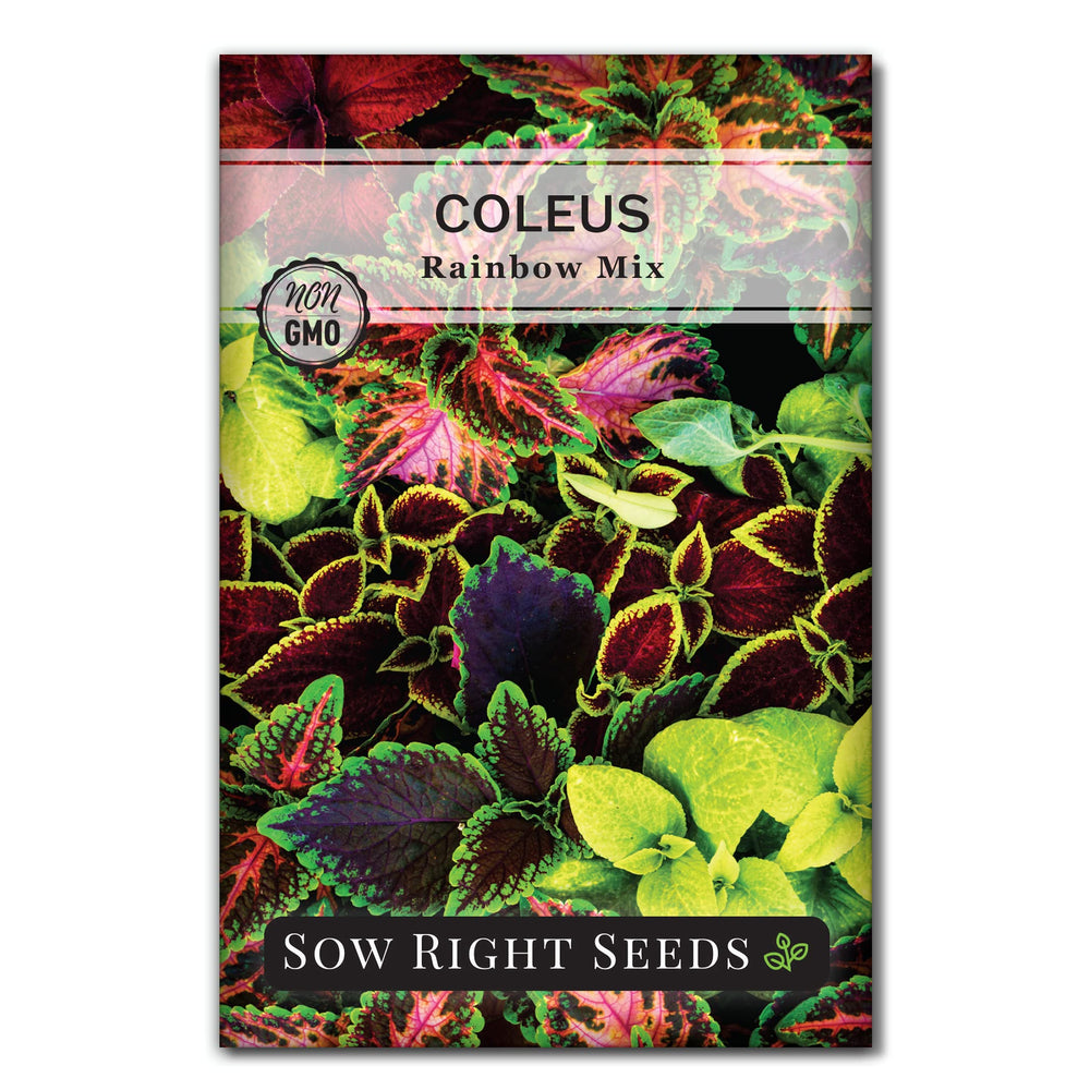Sow Right Seeds Coleus Rainbow Mix seeds packet showing color variety for borders.