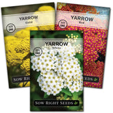Sow Right Seeds common white yarrow seed packet showing fragrant foliage for borders.