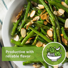 Harvest-ready Contender beans after 60–75 days in warm sun.