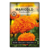 Sow Right Seeds Crackerjack African Marigold seeds packet ready for planting.