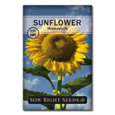 Sow Right Seeds Mammoth Sunflower in a garden, towering blooms attract bees and birds.