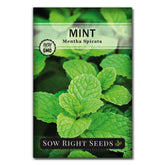 Sow Right Seeds mint seeds pack for home gardening and versatile kitchen use.