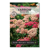Sow Right Seeds Pastel Mix Yarrow blooms attract pollinators in a sunny garden.