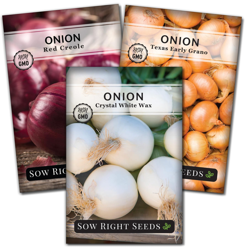 Sow Right Seeds Short Day Onion Seed Collection Red Creole packets for home gardening