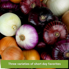 Sow Right Seeds Short Day Onion Seed Collection Texas Early Grano pack supports an early-season harvest