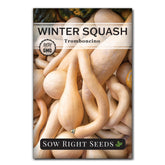 Sow Right Seeds Tromboncino seed packet for home gardening with sweet long-neck squash.