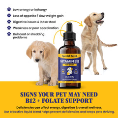Special Breed chicken-flavored liquid appeals to picky eaters.