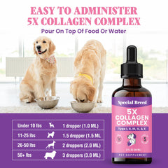 Special Breed Premium Collagen for Dogs enjoying a glossy coat after daily supplementation