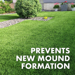 Dry lawn ready for Spectracide Fire Ant Shield granules application
