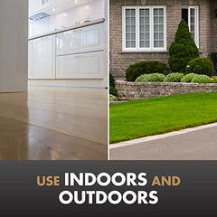Indoor baseboard spray with Spectracide Terminate for pest control.