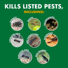 Spectracide Wasp & Hornet Killer Aerosol designed for outdoor use on yard pests near patios.