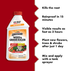 Spectracide patio-walkway treatment targets weeds along pathways.