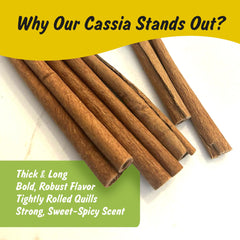 Spice Profile cinnamon sticks close-up highlighting aromatic notes