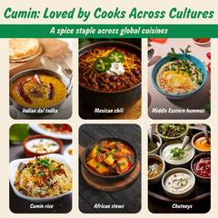 Spice Profile organic cumin seeds showing whole seeds for authentic flavor