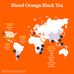 Pouring Spindrift Blood Orange Black Tea into a glass for a crisp, refreshing moment.