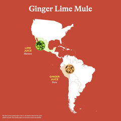 Spindrift Ginger Lime Mule lime slice close-up highlighting bright citrus
