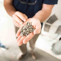 Spitz Sunflower Seeds Salted bag with large kernels per bite.